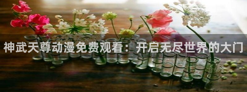 动漫天堂热血动漫：神武天尊动漫免费观看：开启无尽世界的大门配图