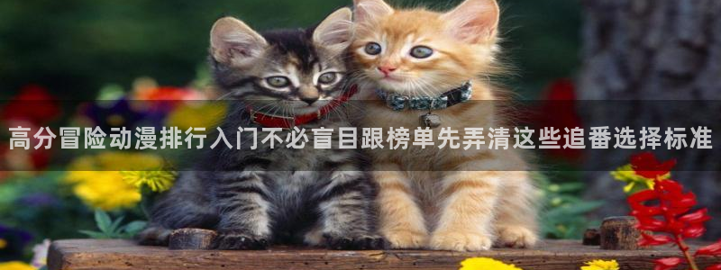 动漫天堂冒险动漫推荐：高分冒险动漫排行入门不必盲目跟榜单先弄清这些追番选择标准配图