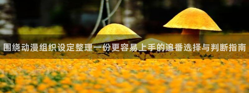 动漫天堂精选推荐：围绕动漫组织设定整理一份更容易上手的追番选择与判断指南配图