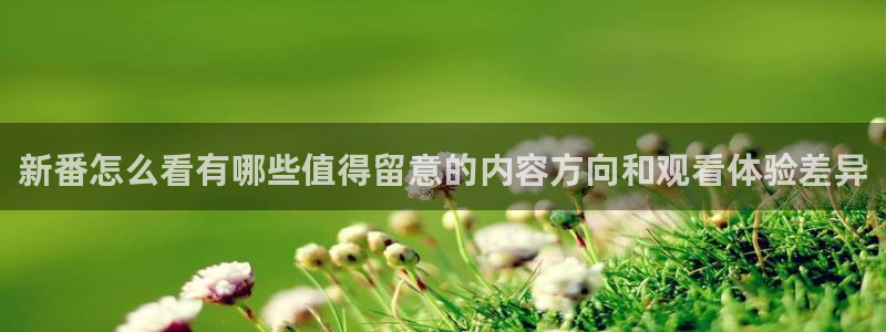 动漫天堂动漫高清版：新番怎么看有哪些值得留意的内容方向和观看体验差异配图