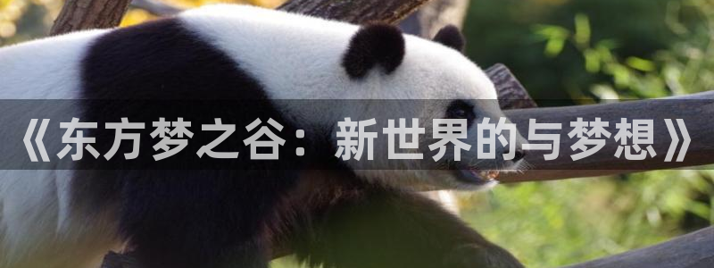 动漫天堂高清观看:《东方梦之谷:新世界的与梦想》配图