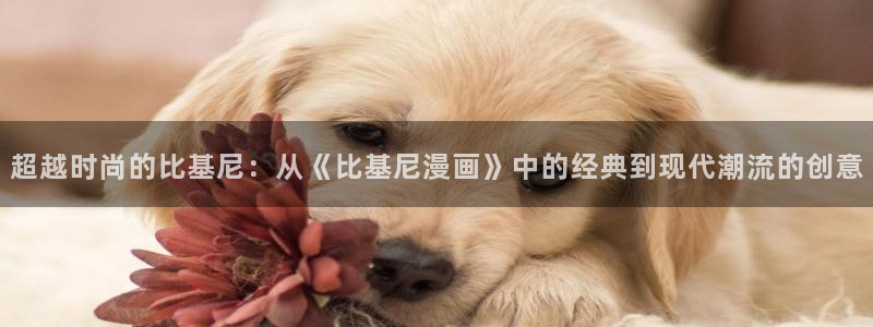 动漫天堂日漫排行榜:超越时尚的比基尼:从《比基尼漫画》中的经典到现代潮流的创意配图