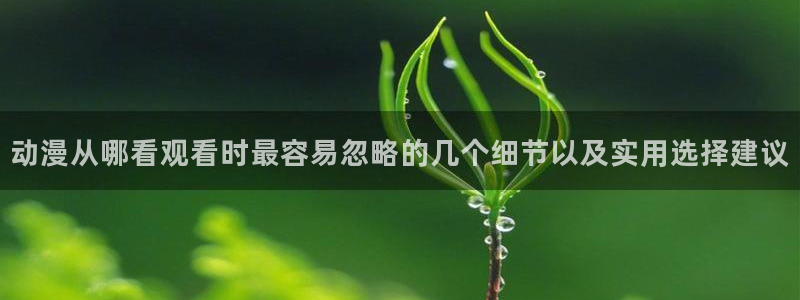 动漫天堂官网:动漫从哪看观看时最容易忽略的几个细节以及实用选择建议配图