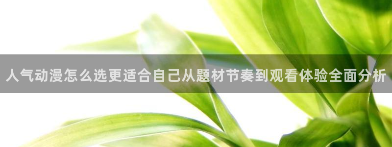 动漫天堂动漫推荐有哪些:人气动漫怎么选更适合自己从题材节奏到观看体验全面分析配图