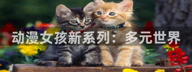 动漫天堂经典作品:动漫女孩新系列:多元世界配图