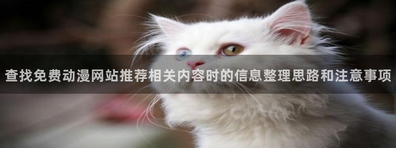 动漫天堂在线动漫排行:查找免费动漫网站推荐相关内容时的信息整理思路和注意事项配图