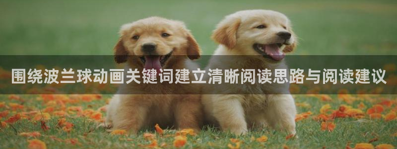 动漫天堂高清完整版：围绕波兰球动画关键词建立清晰阅读思路与阅读建议配图