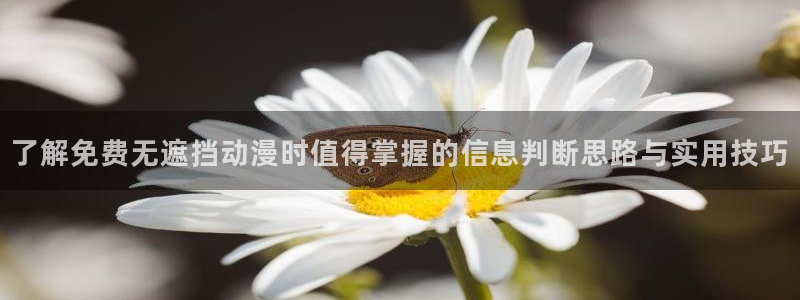 2026动漫天堂新番推荐：了解免费无遮挡动漫时值得掌握的信息判断思路与实用技巧配图
