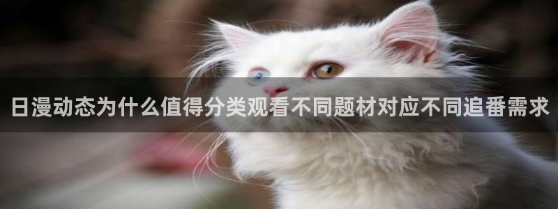 动漫天堂手机版：日漫动态为什么值得分类观看不同题材对应不同追番需求配图