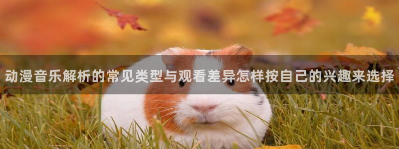 动漫天堂搞笑动漫:动漫音乐解析的常见类型与观看差异怎样按自己的兴趣来选择配图